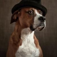 Group Profile Picture